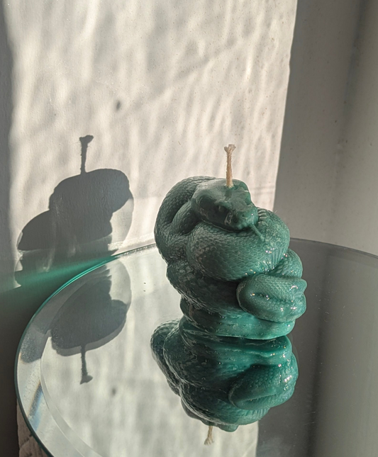 Small Coiled Teal Snake - Gloss Candle