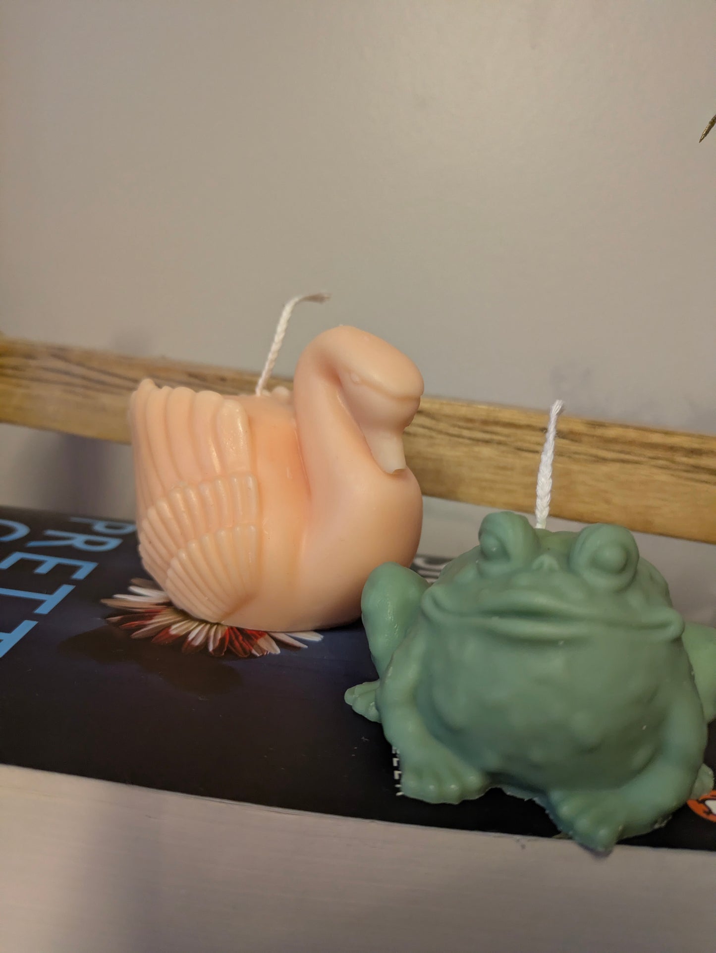 Frog Prince  Candles - Valentine's Collection - VitaUnlimited