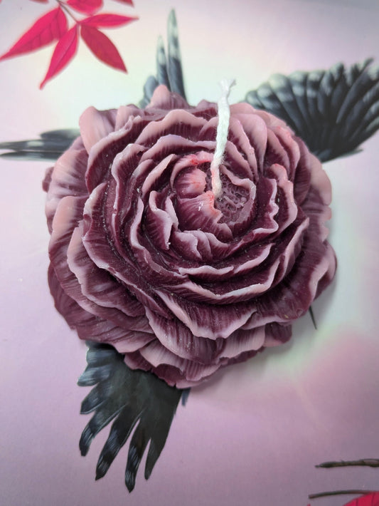 Purple Peony Rose Candle