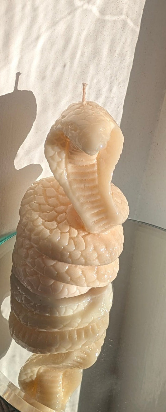 White Large Coiled Snake - Gloss Candle
