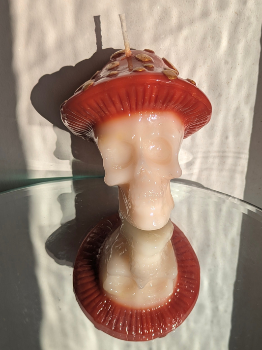Small Skull with Mushroom Cap - Gloss Candle